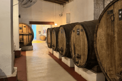 Full-day tour to Cafayate, Winery Visit and Wine Tasting