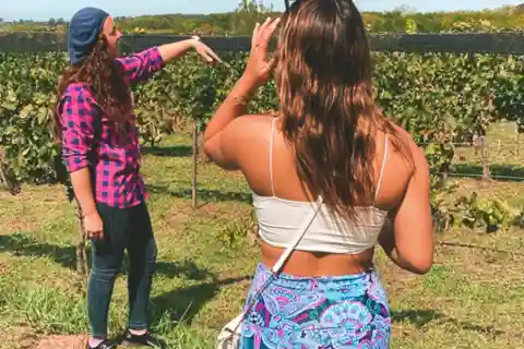 Disfruta de una Experiencia Rural en un Viñedo cerca de Buenos Aires