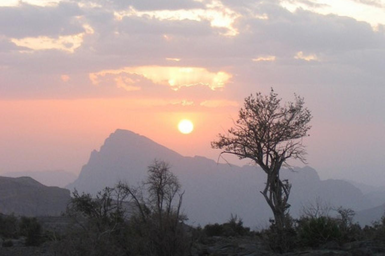 Jebel Shams Summit: Oman's Highest Peak & Grand Canyon Hike
