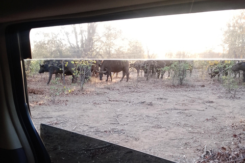 Chobe halve dagtrip vanuit Victoria Watervallen