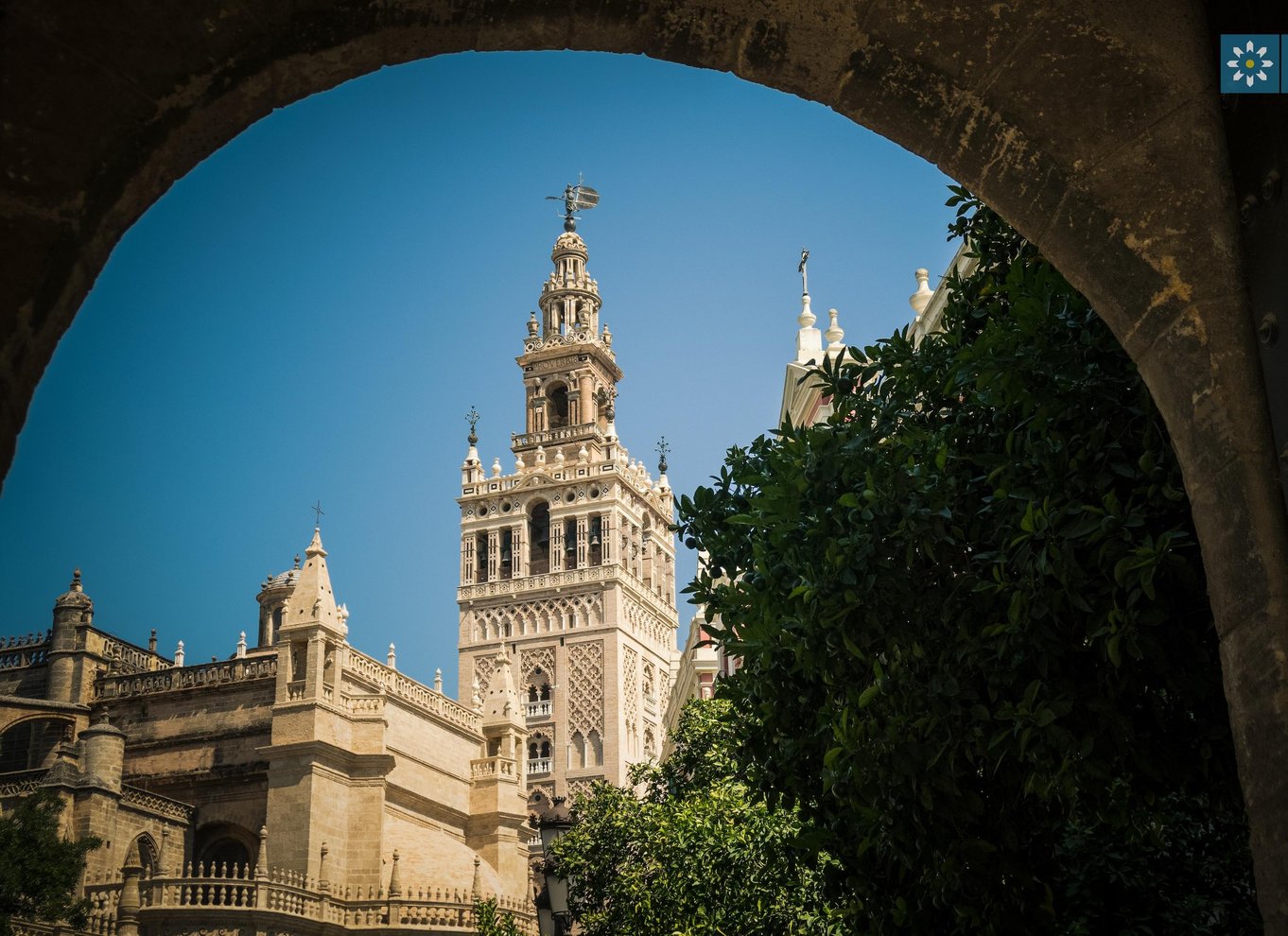 Sevilla: Spring køen over til Alcázar, katedralen og Giralda
