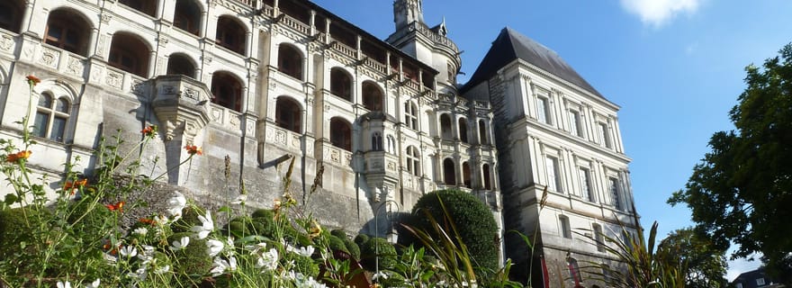 Blois : Visite privée du château de Blois avec billets d'entrée