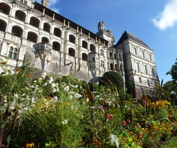 Visite privée du château de Blois avec billets d'entrée