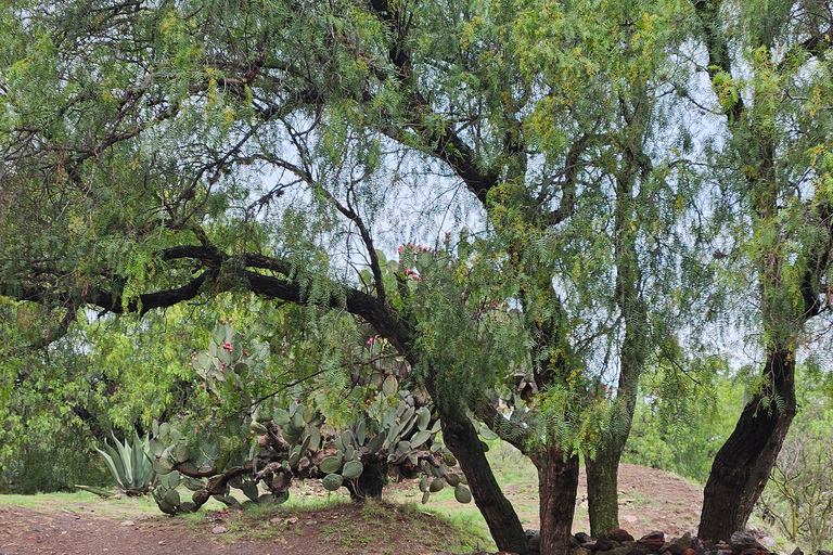 Tur till Teotihuacan med upphämtning från Parque Mexico