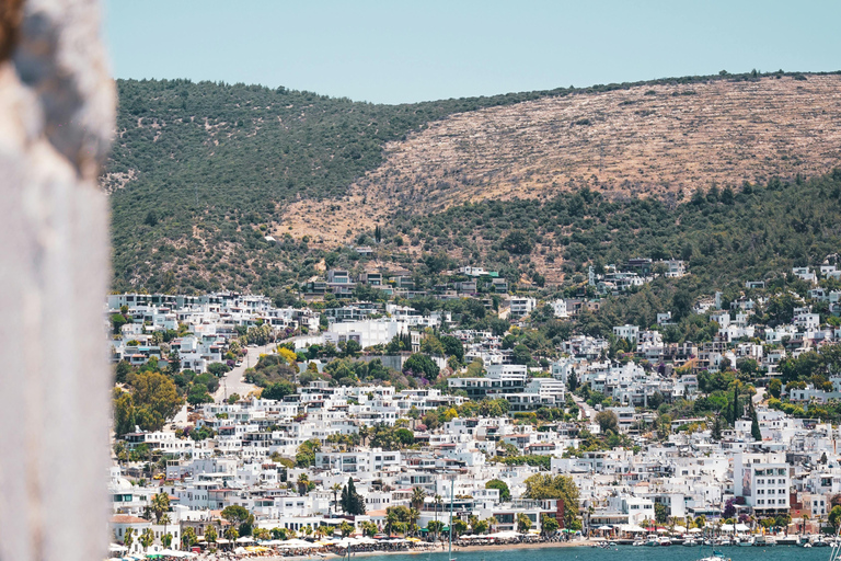 Bodrum: Private Half-Day City Tour with Castle & Guide
