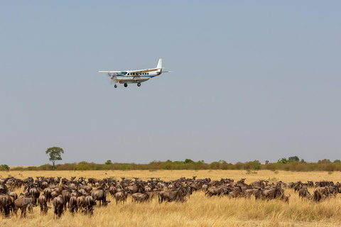 Safari aérien de 2 jours dans le Masai Mara