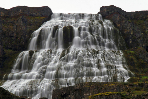 Ísafjörður: Dynjandi Waterfall & Flateyri Village Tour