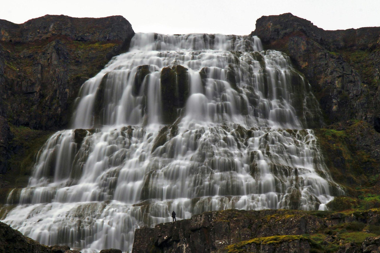 Ísafjörður: Dynjandi Waterfall & Flateyri Village Tour