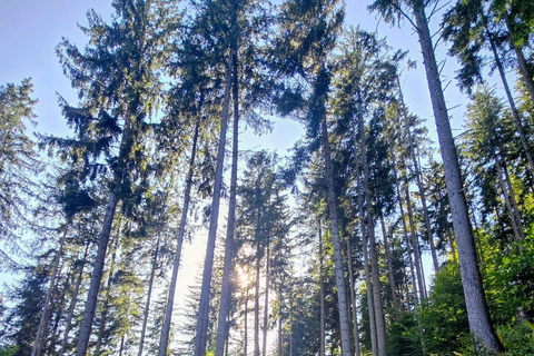 Tegernsee to Schliersee: Guided panoramic hike on the Prinzenweg