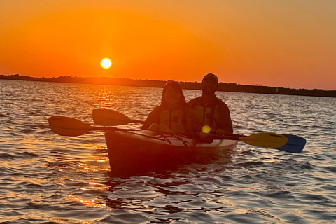 Charleston: Folly River Sunset Kayak Dolphin Safari Single Sit-On Kayak