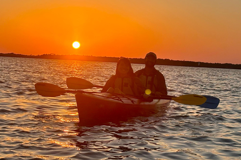 Charleston: Folly River Sunset Kayak Dolphin Safari Single Sit-On Kayak