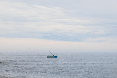 Tour esclusivo in auto per piccoli gruppi a Halifax con Peggy's Cove