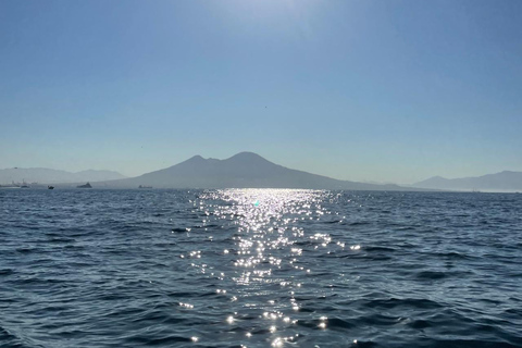 Nápoles: Tour en barco privado por la costa