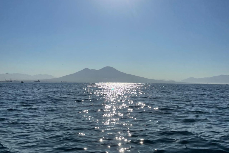 Nápoles: Tour en barco privado por la costa