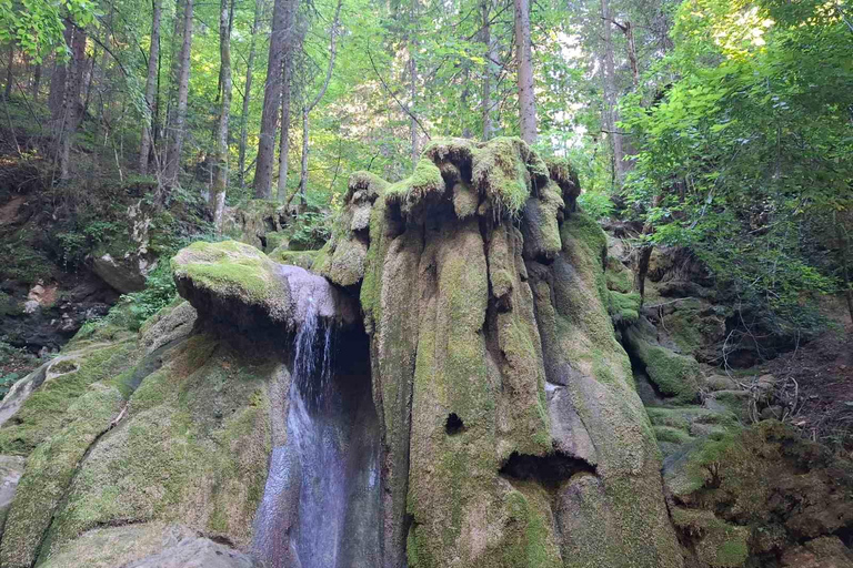 Sarajevo: Vrelo Miljacke River Source Eco Tour