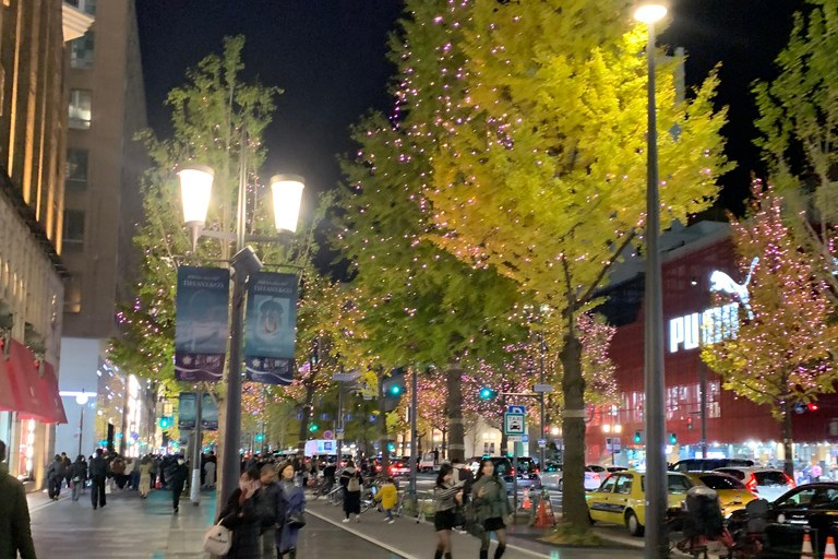 大阪夜间活动：隐秘小巷和当地街道