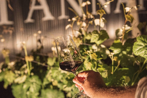 From Colonia: Pueblo Tannat Winery Experience Wine & Cheese Tasting