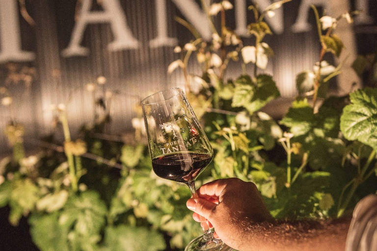 From Colonia: Pueblo Tannat Winery Experience Wine & Cheese Tasting