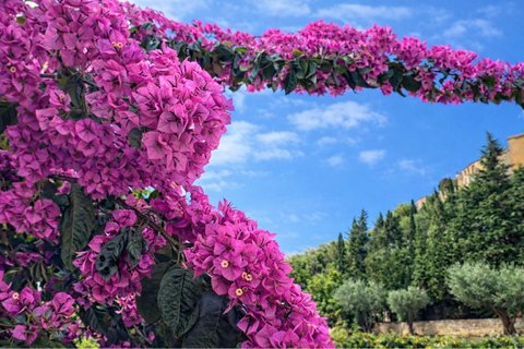 Cannes, Antibes, Saint-Paul-de-Vence & Monaco Day Trip