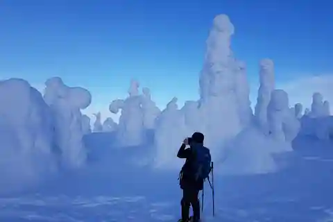 Riisitunturi National Park Snowshoe Experience