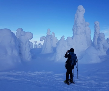 Experiência com raquetes de neve no Parque Nacional Riisitunturi