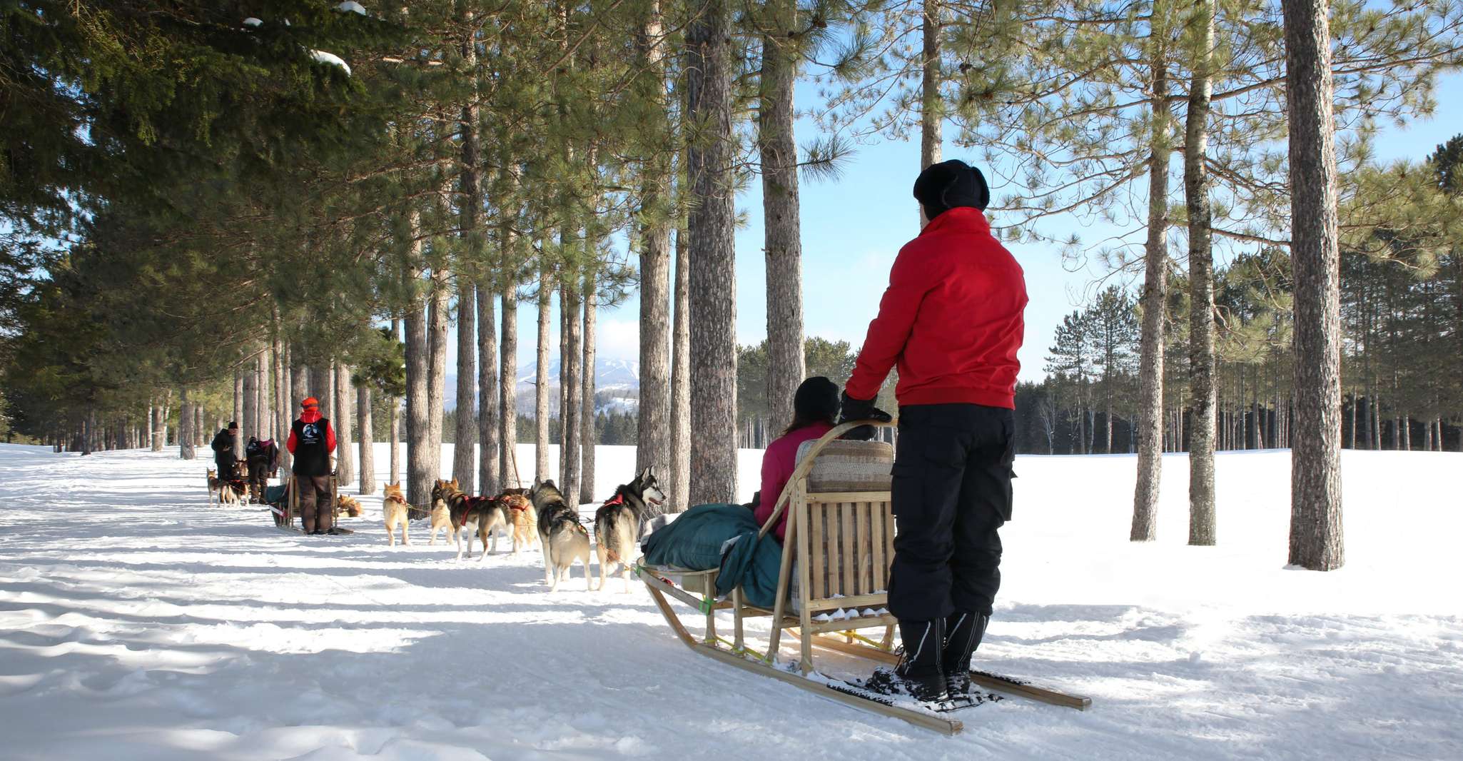 Mont-Tremblant, Dogsledding Experience - Housity