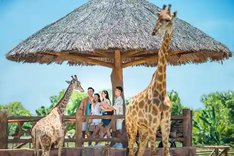 Hoi An Vinwonders Nam Hoi An Theme Park Ticket de entrada