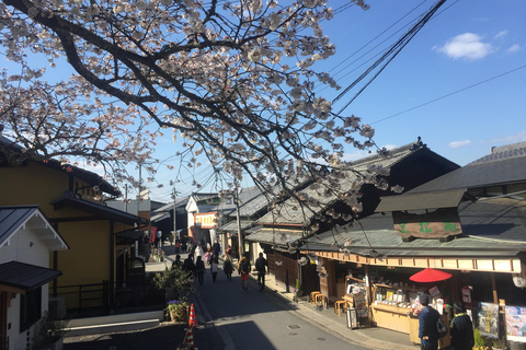Cherry Blossom Buddha and Mt.Yoshino Tour From Osaka