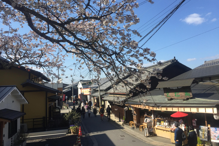 Cherry Blossom Buddha and Mt.Yoshino Tour From Osaka