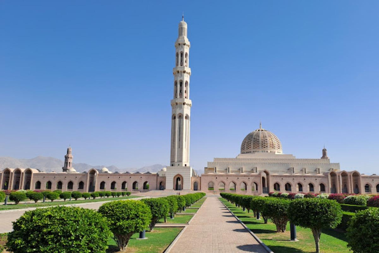 4-Hour Muscat City Highlights Shared Tour with Transfers