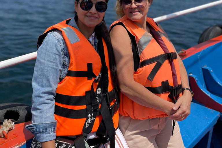 Santiago: Valparaíso + Boat + Viña del Mar + Tasting at Boutique Winery Santiago: Valparaíso + Boat + Viña del Mar + Tasting at Viña Boutique