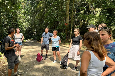 Tijuca Forest´s hike: caves, waterfalls and great views