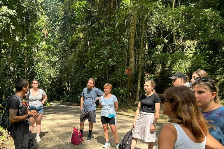 Tijuca Forest´s hike: caves, waterfalls and great views