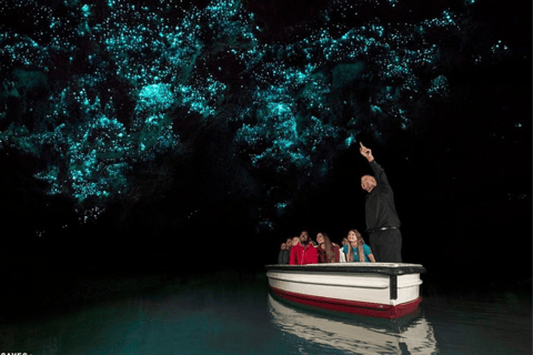 Private Day Tour: Waitomo Glowworms & Hobbiton Movie Set