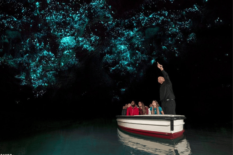 Private Day Tour: Waitomo Glowworms & Hobbiton Movie Set