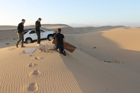 Swakopmund: Sandboarding and Lagoon Kayaking Combo Tour