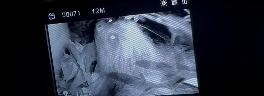 Monteverde : visite de nuit avec lunettes de vision nocturne