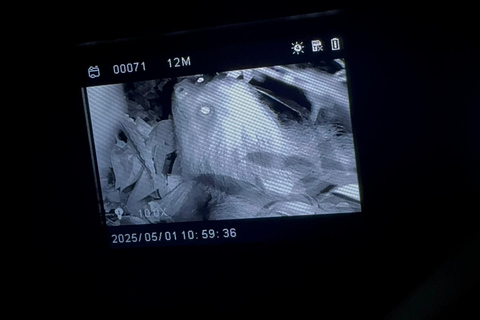 Monteverde: Night Tour with Night Vision Goggles