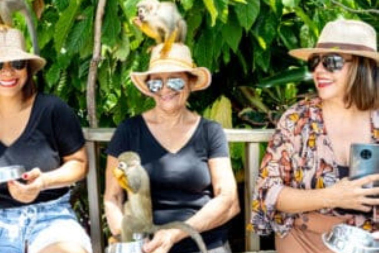 Punta Cana: Monkeyland Half-Day Tour with Snacks and Guide