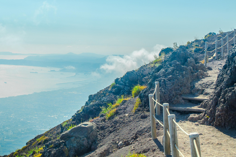 Dal porto di Napoli: Escursione di un giorno a Pompei e al Vesuvio