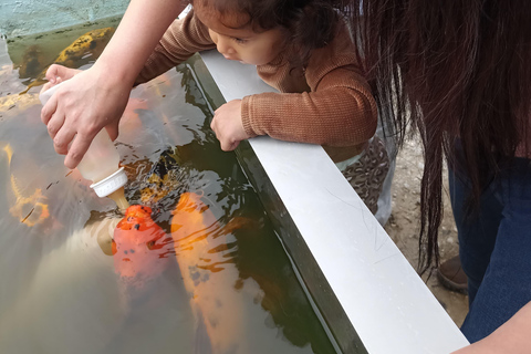 GUATAPÉ : VISITE PRIVÉE 8 PX EL PEÑOL, GUATAPE, BATEAU ET DÉJEUNER DANS LA CUISINE OC