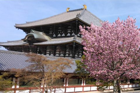 Osaka: Nara and Uji Day Trip with Deer Park and Hot Spring