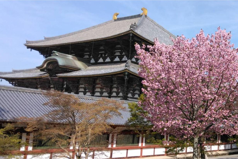 Osaka: Nara and Uji Day Trip with Deer Park and Hot Spring