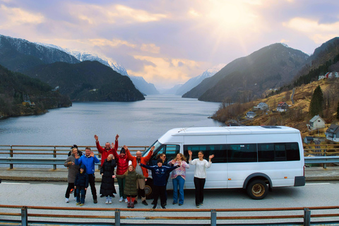 The Bergen Golden Circle Fjord Tour by Minibus From Bergen: Golden Circle Fjord Tour by Minibus