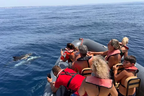 Depuis Lagoa : Dauphins et Ponta da Piedade avec guide biologiste