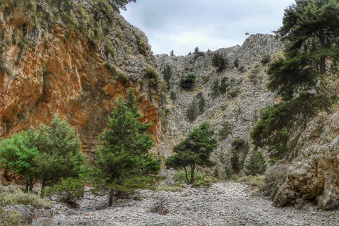 De Chania/Almyrida: Caminhada pelo desfiladeiro de Imbros