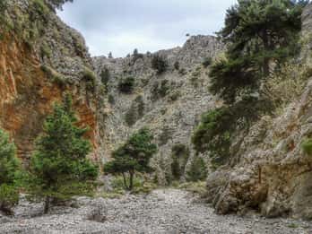 From Chania/Almyrida : Imbros Gorge Hike