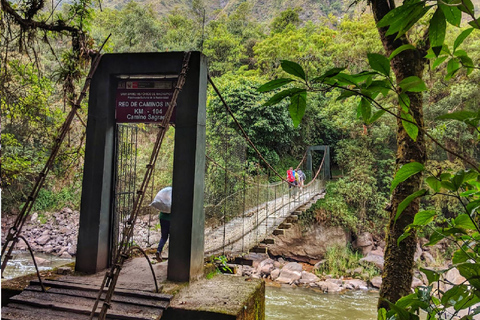 Cusco: Machu Picchu 1-Day Inca Trail with Train