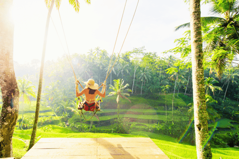 Bali: Ubud Rice Terraces, Monkey Forest & Waterfall Tour Full Package: All entry fees & lunch included