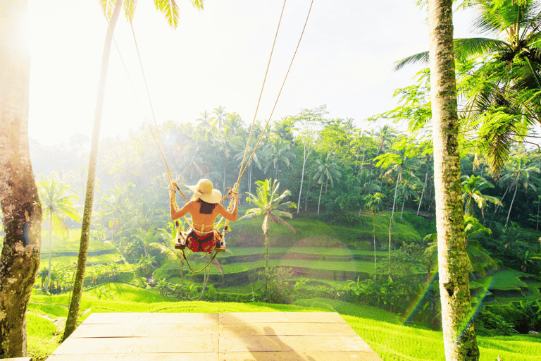 Bali: Ubud Rice Terraces, Monkey Forest & Waterfall Tour Full Package: All entry fees & lunch included